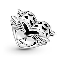 Charm Pandora Donna Pandora Passions in Argento 799367C00 - 799367C00